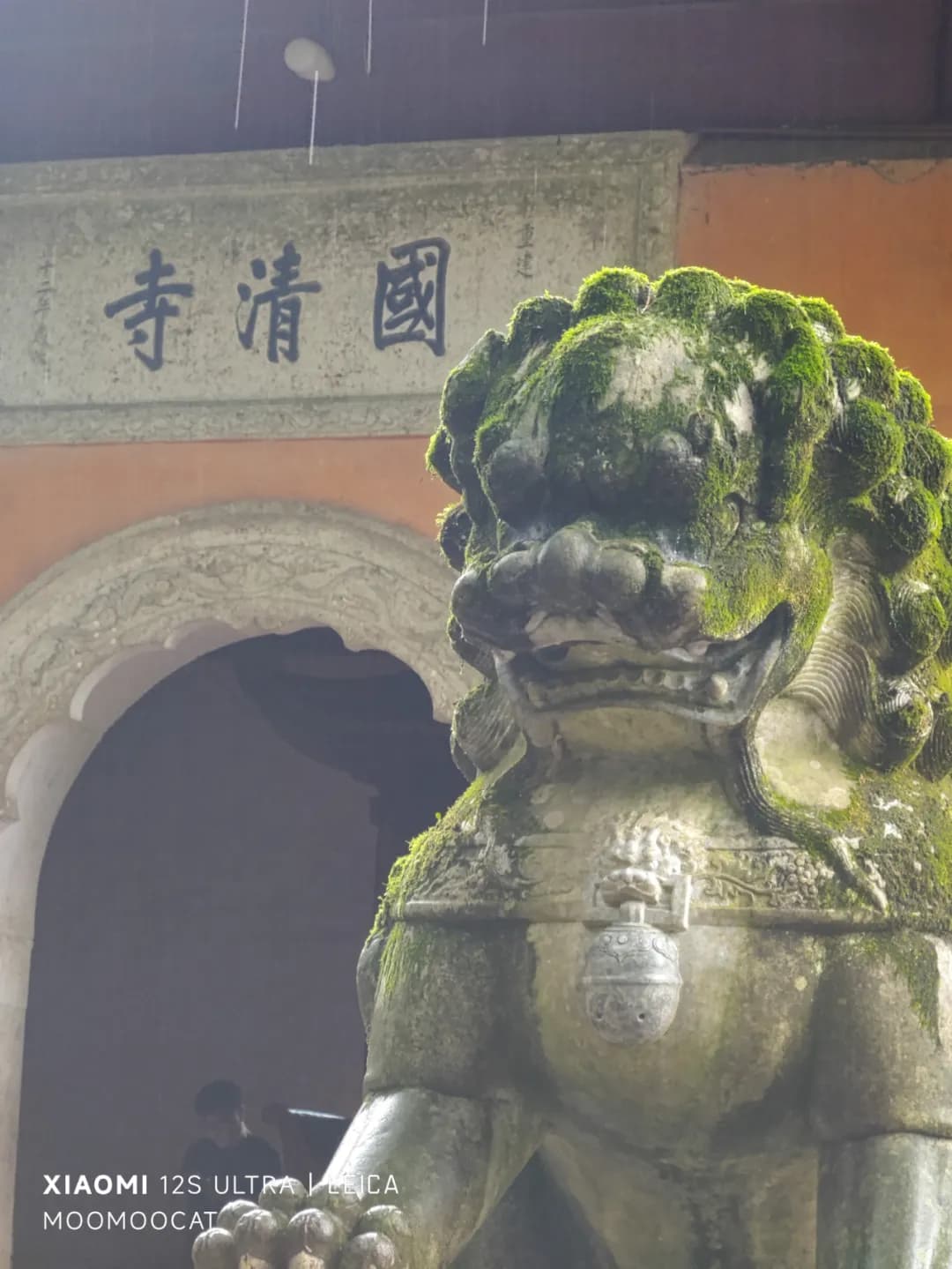 堪称镇寺之宝之一,门口汉白玉雕刻的狮子
