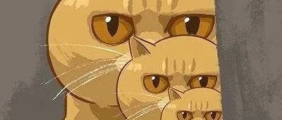股社区 - 招财大牛猫的笔记本