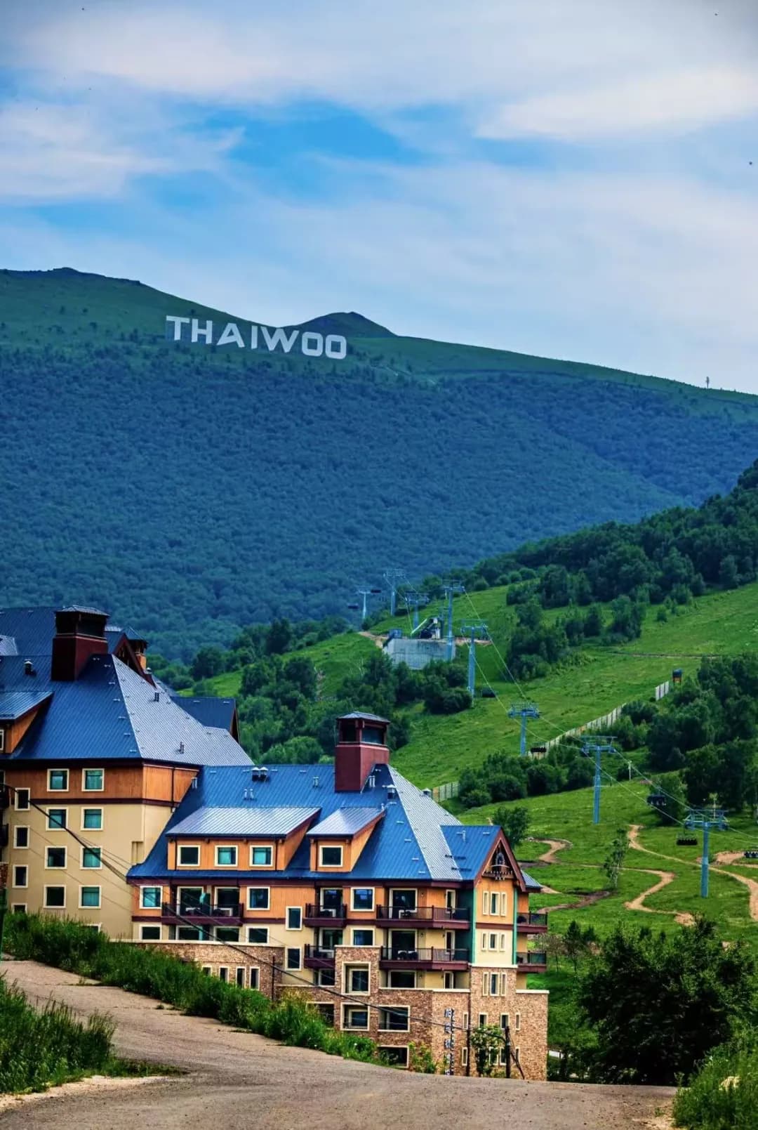 thaiwoo（太舞）