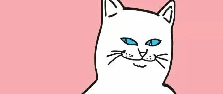 股社区 - 招财大牛猫的笔记本