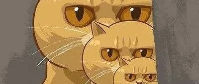 股社区 - 招财大牛猫的笔记本