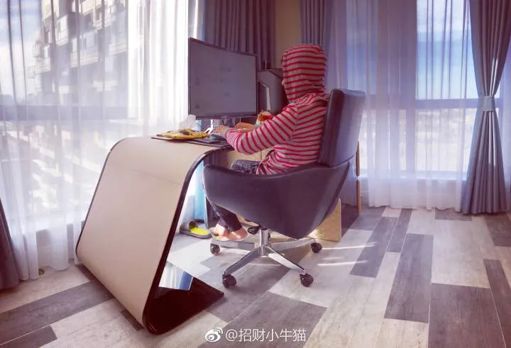 猫笔刀写文章的书房