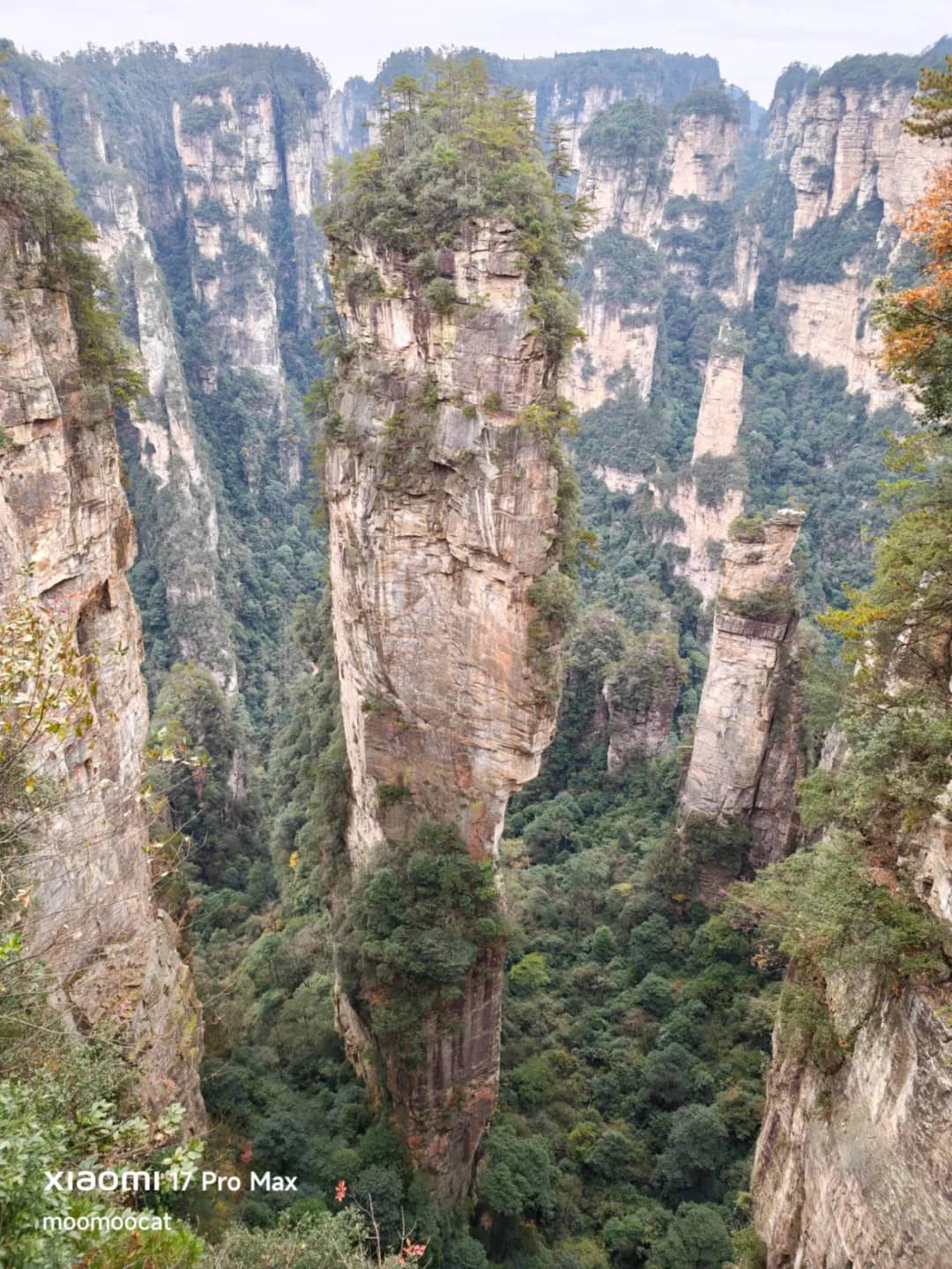 张家界 武陵源