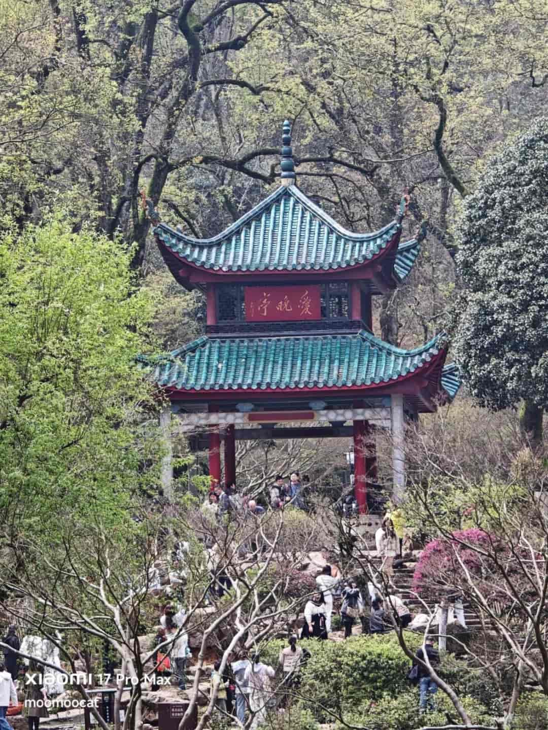 爱晚亭