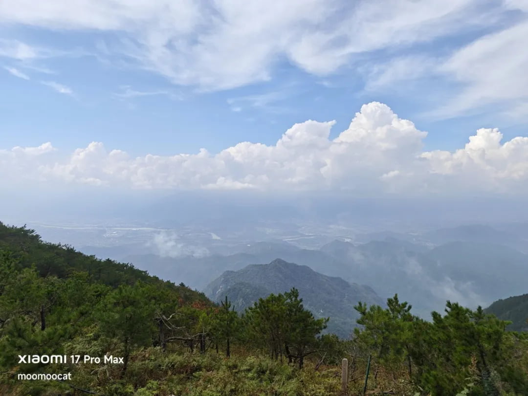 括苍山顶海拔接近1400米,是浙东南第一高峰